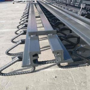 橋梁伸縮縫裝置